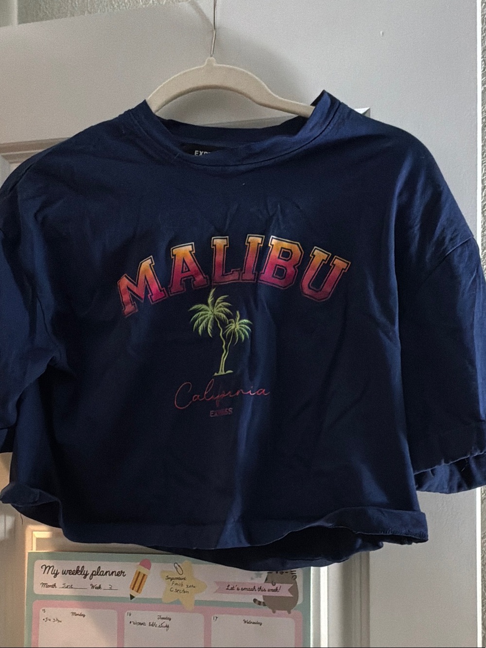Cute Malibu summer crop top